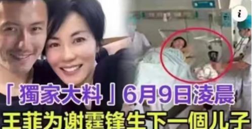王菲产子传闻再起波澜 前经纪人购物引猜测，天后行踪成谜