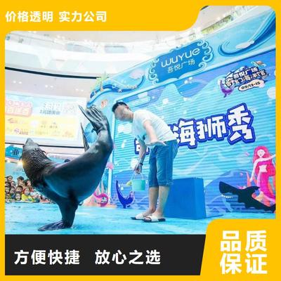 南安市分公司 专业出租表演鹦鹉，打造难忘动物展览体验